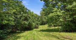 1300 County Road B N/A, Liberty, MO 64068