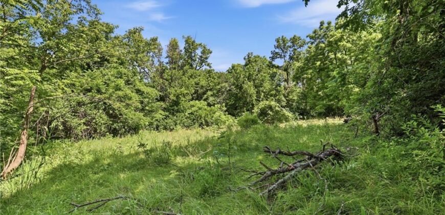 1300 County Road B N/A, Liberty, MO 64068