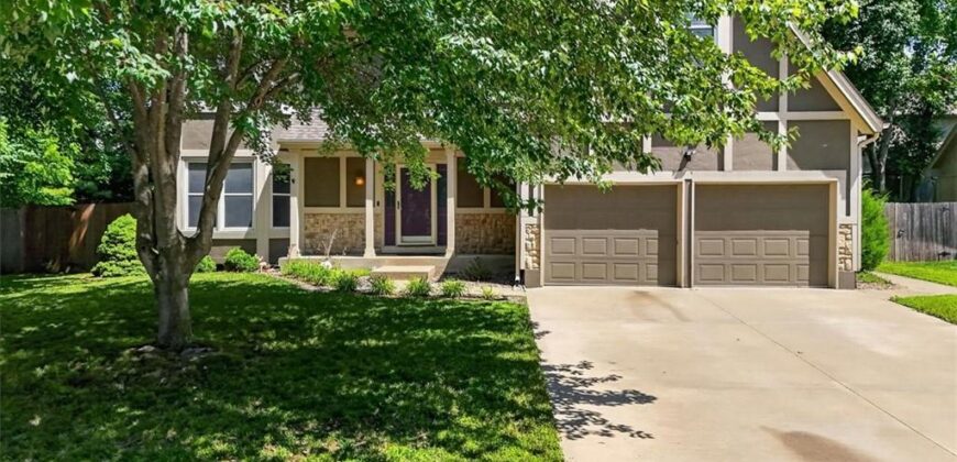 1608 NE 81st Street, Kansas City, MO 64118