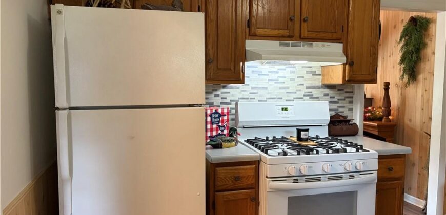 1107 Cordell Street, Excelsior Springs, MO 64024