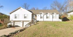 11300 NW 60 Street, Parkville, MO 64152