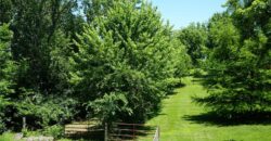 14701 Tillman Road, Smithville, MO 64089