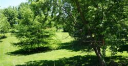 14701 Tillman Road, Smithville, MO 64089