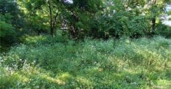 9404 Stillhouse Road, Liberty, MO 64068