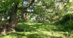 9404 Stillhouse Road, Liberty, MO 64068
