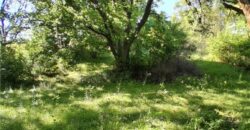 9404 Stillhouse Road, Liberty, MO 64068