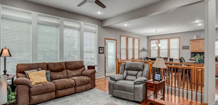 406 BRIAR Lane, Kearney, MO 64060