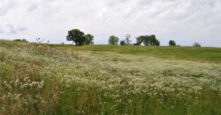 33135 Iatan Road, Weston, MO 64098