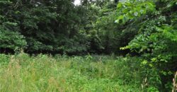33135 Iatan Road, Weston, MO 64098