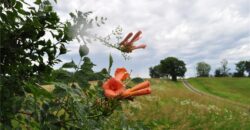 33135 Iatan Road, Weston, MO 64098