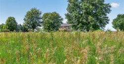 19207 NE 128th Street, Kearney, MO 64060