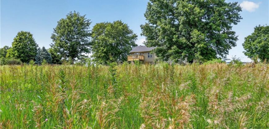 19207 NE 128th Street, Kearney, MO 64060