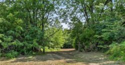19207 NE 128th Street, Kearney, MO 64060