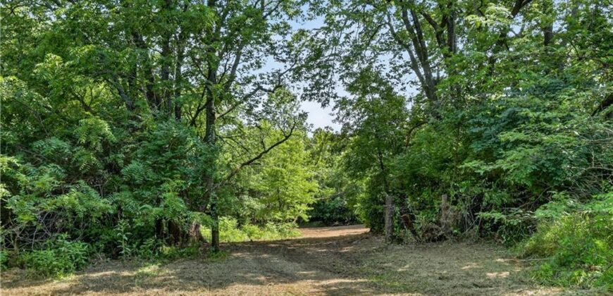 19207 NE 128th Street, Kearney, MO 64060