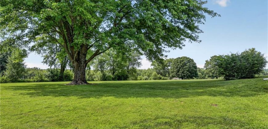19207 NE 128th Street, Kearney, MO 64060