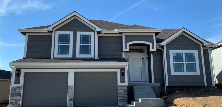 1700 Chestnut Street, Kearney, MO 64060
