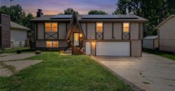 7917 N Troost Avenue, Kansas City, MO 64118