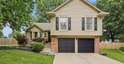 1011 NE 103rd Street, Kansas City, MO 64155