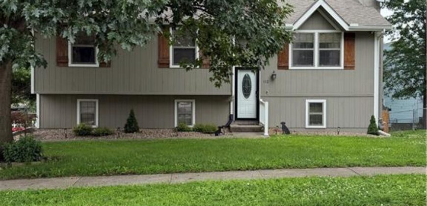 112 E Frank Street, Kearney, MO 64060