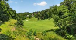 10600 Chateau Lane, Parkville, MO 64152