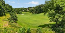 10600 Chateau Lane, Parkville, MO 64152