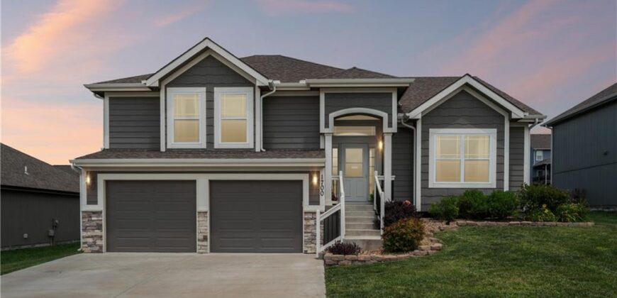 1700 Chestnut Street, Kearney, MO 64060