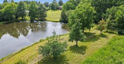 17503 Baxter Road, Lawson, MO 64062