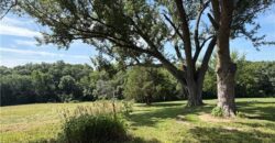 19807 NE 192ND Street, Holt, MO 64048
