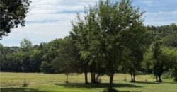19807 NE 192ND Street, Holt, MO 64048