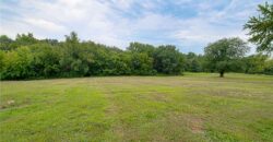 19807 NE 192ND Street, Holt, MO 64048