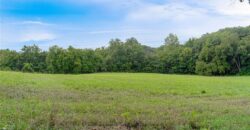 19807 NE 192ND Street, Holt, MO 64048