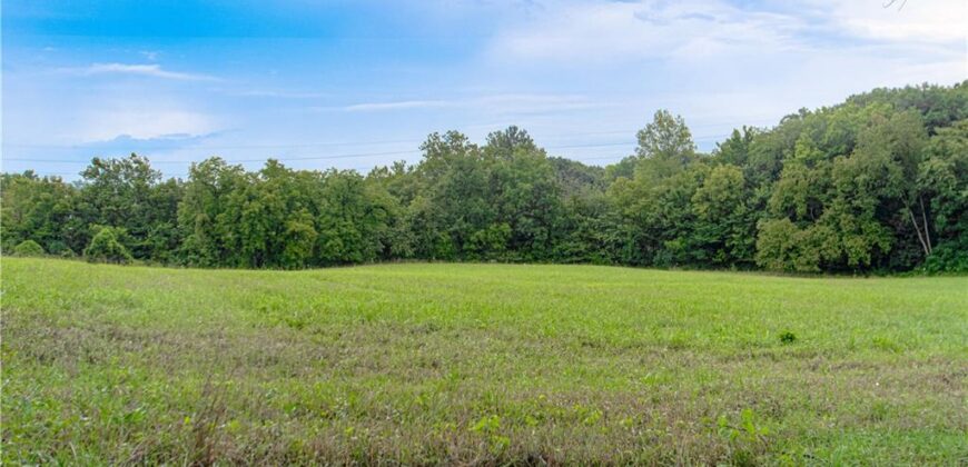 19807 NE 192ND Street, Holt, MO 64048