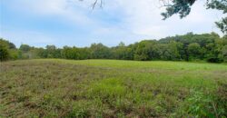 19807 NE 192ND Street, Holt, MO 64048