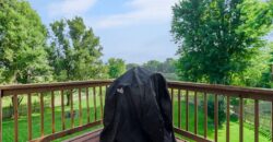 10308 NE 98th Terrace, Kansas City, MO 64157