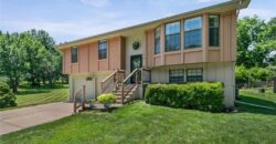 11424 N Mcgee Street, Kansas City, MO 64155