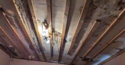 224 S Missouri Street, Liberty, MO 64068