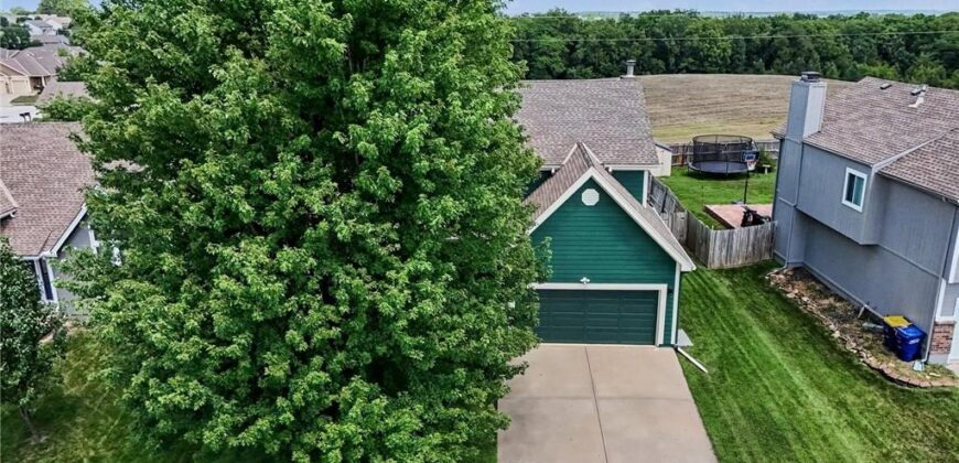 304 Shannon Avenue, Smithville, MO 64089
