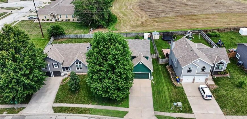 304 Shannon Avenue, Smithville, MO 64089