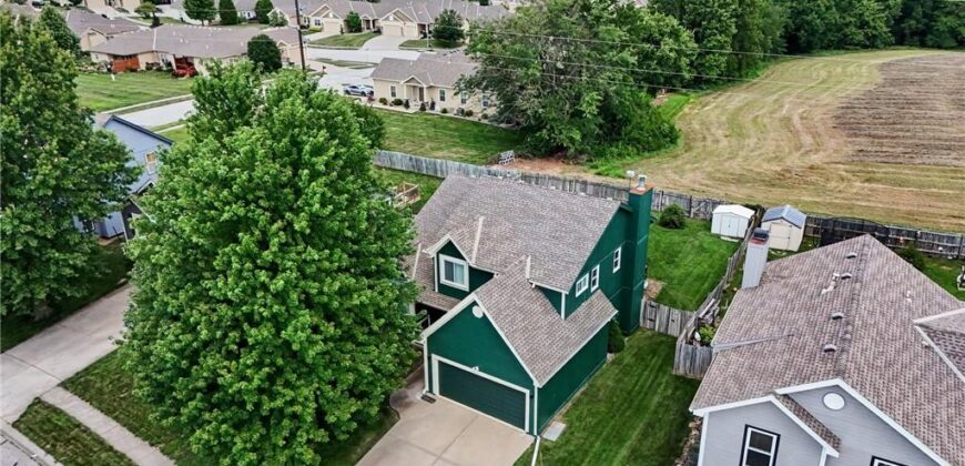 304 Shannon Avenue, Smithville, MO 64089