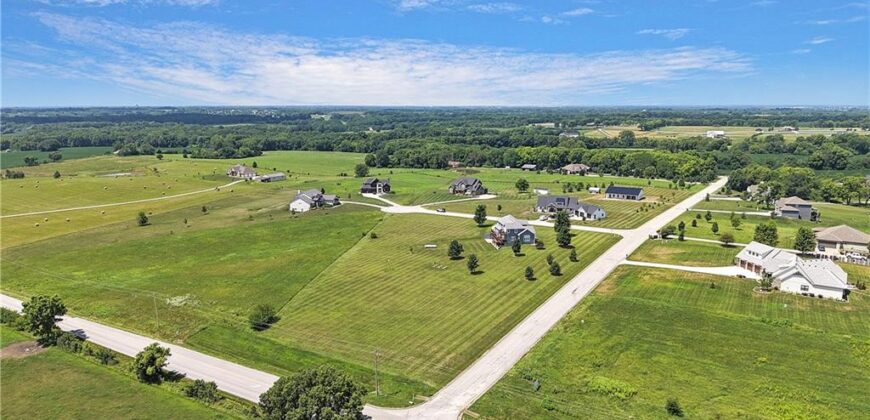 14691 N Lewis Avenue, Liberty, MO 64068