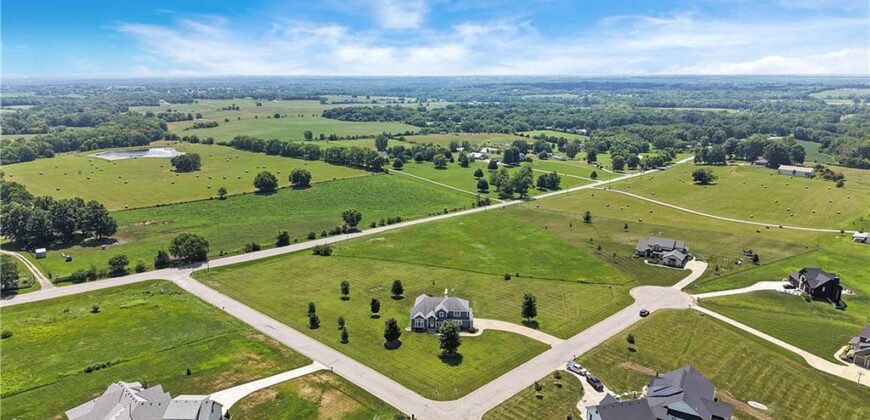 14691 N Lewis Avenue, Liberty, MO 64068