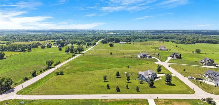14691 N Lewis Avenue, Liberty, MO 64068