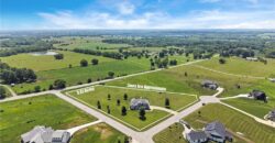 14691 N Lewis Avenue, Liberty, MO 64068
