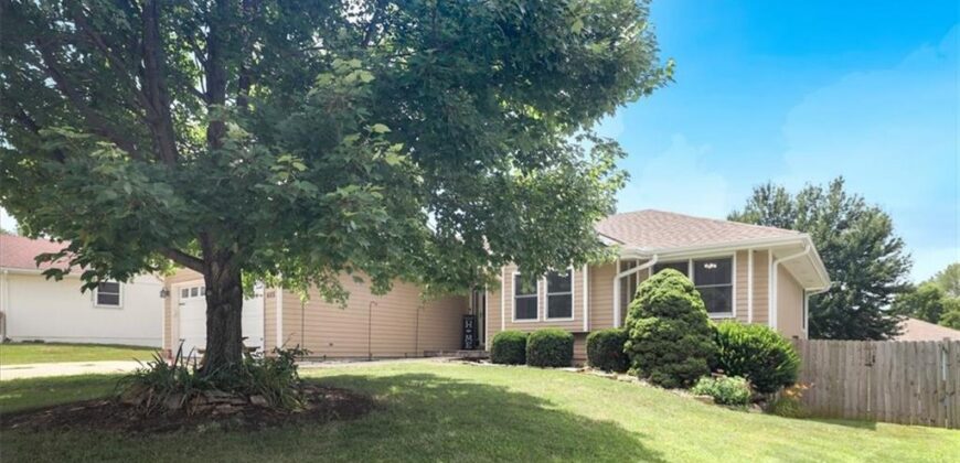 605 Birch Street, Excelsior Springs, MO 64024