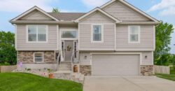 915 W 7th Avenue, Kearney, MO 64060