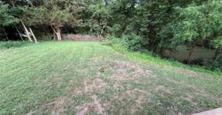 515 Park Street, Excelsior Springs, MO 64024