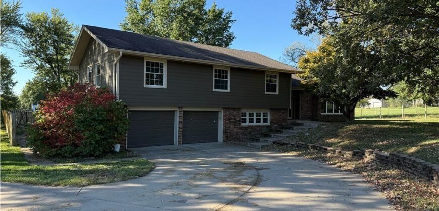 17017 NE 180th Street, Holt, MO 64048