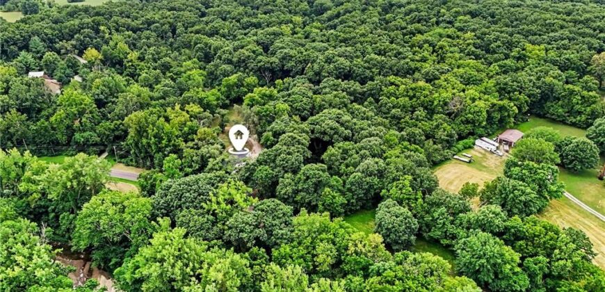 14017 Henson Road, Holt, MO 64048