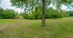 20009 Clinton County Line Road, Holt, MO 64048
