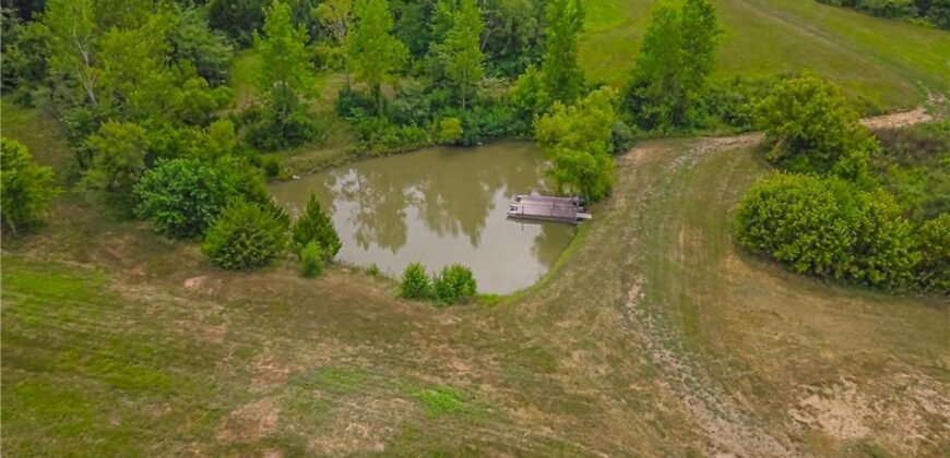 20009 Clinton County Line Road, Holt, MO 64048